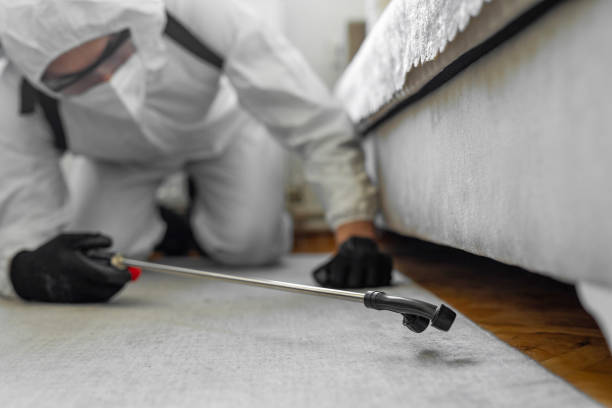 Professional Cockroach Control technician working in Houston County County, TN